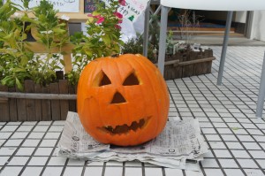 SONY DSC